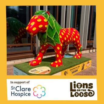 Lions on the Loose Auction