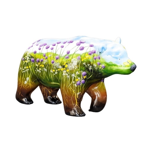 Bear Cub - Park Life