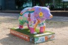 Wellness Bear - 2