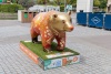 Bear The Light - 2