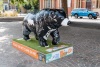 Wander Bear - 2