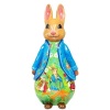 Peter Rabbit and Friends