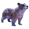 Bloom Bear