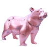 Copper Bear