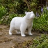 Blank Wee Bear