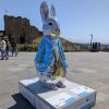 The Dazzling Tale of Peter Rabbit - 3