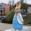 Dr Hop-Well - 3