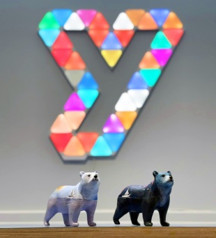 A Pair of Adventure Bears - Mini Bears!