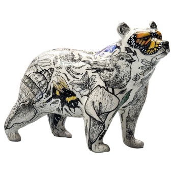 Ursus Illustratus