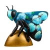 The Birds and the Bees