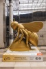 Bee in the Detail (Pī i te Iti) - 2