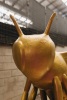 Bee in the Detail (Pī i te Iti) - 3