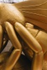 Bee in the Detail (Pī i te Iti) - 4