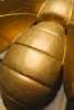Bee in the Detail (Pī i te Iti) - 5