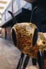 All That's Gold and Glitters - 3