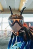 Aviator Bee - 3