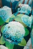 The Birds and the Bees - 5