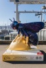 Celestial Guardian - 2