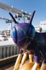 Celestial Guardian - 3