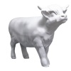 Big Blank Coo - 3