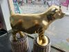 The Golden Calf (Wee Coo) - 3